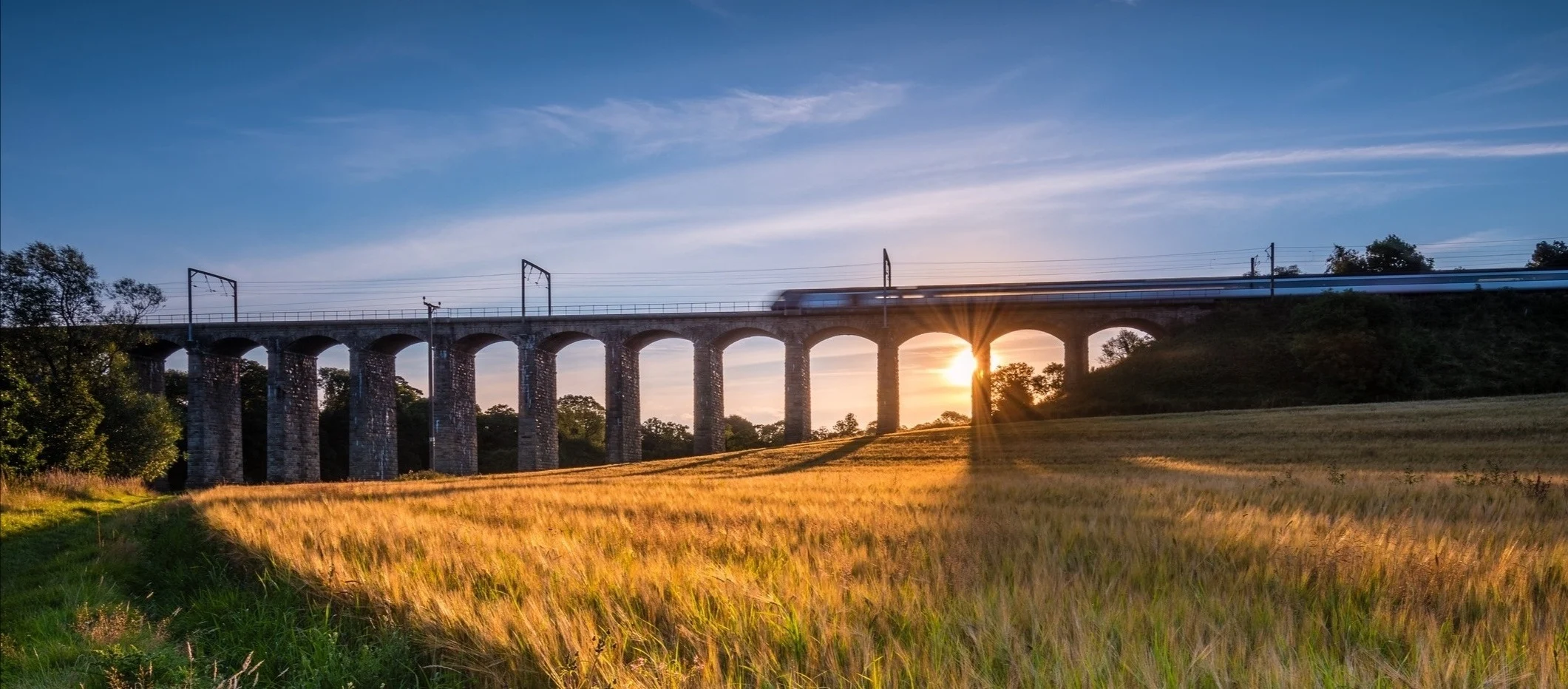 A train crosses a viaduct at sunset with a cornfield in front